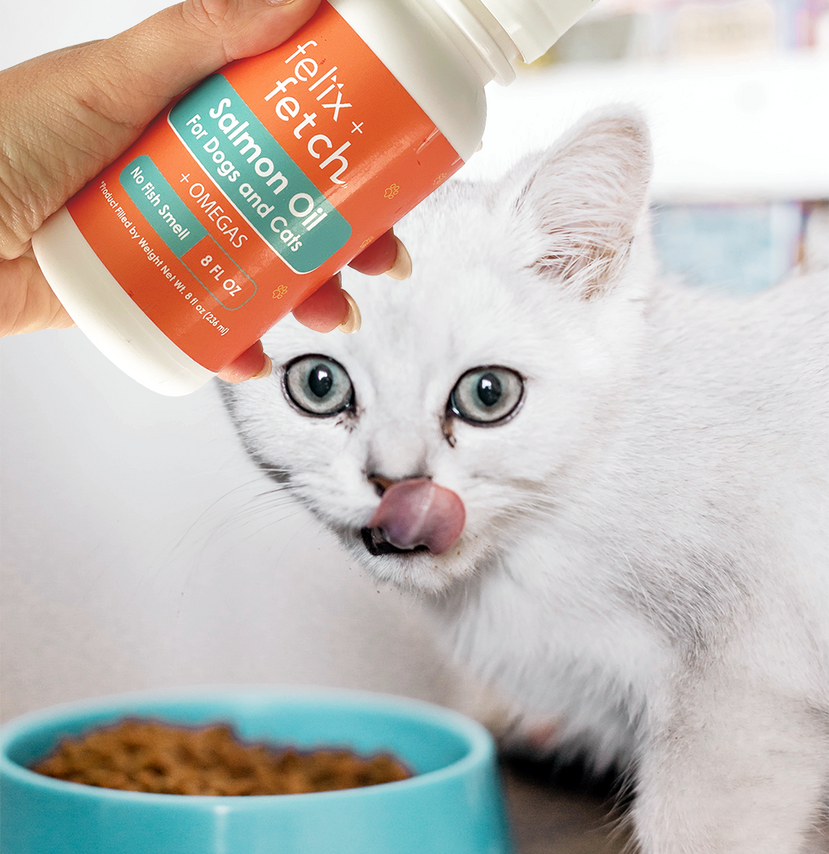 4 Reasons Your Pet Needs Salmon Oil